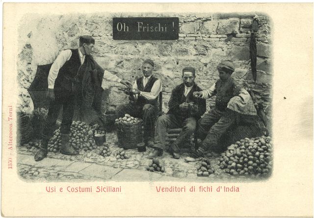Venditori di Fichi d'India
