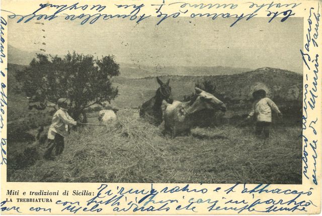 La Trebbiatura