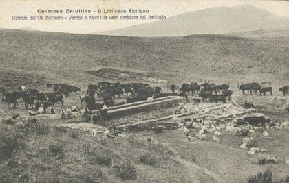Caprari e Lattari — Tavola III