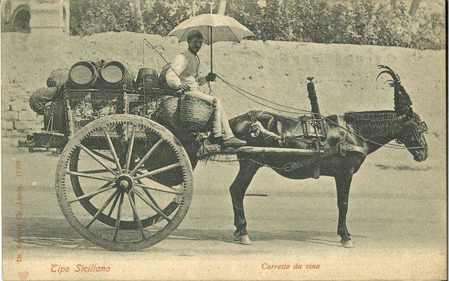 Carretto da Vino — Tipo Siciliano